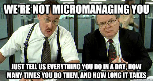 micro management 